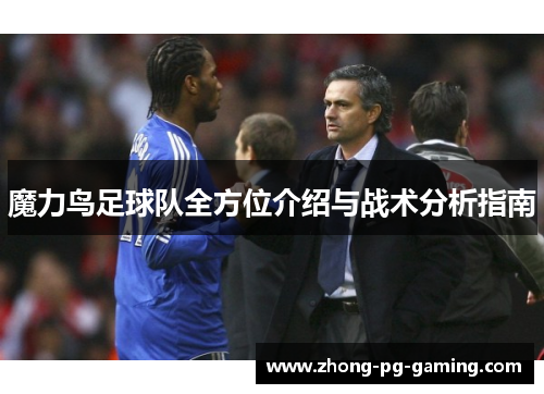魔力鸟足球队全方位介绍与战术分析指南