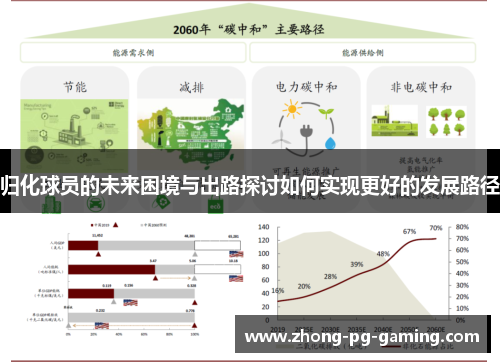 归化球员的未来困境与出路探讨如何实现更好的发展路径
