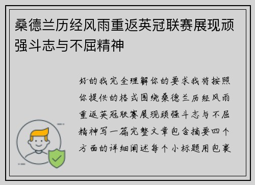 桑德兰历经风雨重返英冠联赛展现顽强斗志与不屈精神 桑德兰历经风雨重返英冠联赛展现顽强斗志与不屈精神